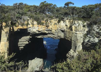 Tasman Arch